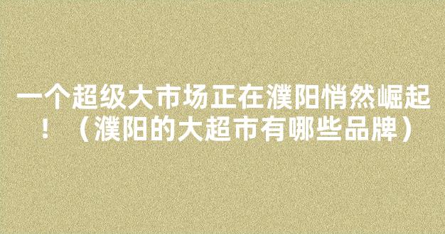 一个超级大市场正在濮阳悄然崛起！（濮阳的大超市有哪些品牌）