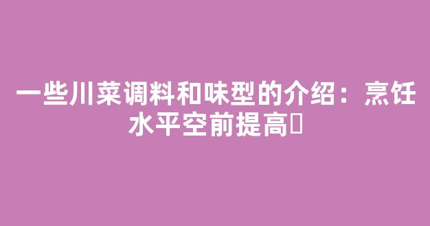 一些川菜调料和味型的介绍：烹饪水平空前提高