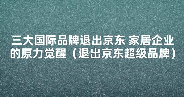 三大国际品牌退出京东 家居企业的原力觉醒（退出京东超级品牌）