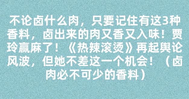 不论卤什么肉，只要记住有这3种香料，卤出来的肉又香又入味！贾玲赢麻了！《热辣滚烫》再起舆论风波，但她不差这一个机会！（卤肉必不可少的香料）