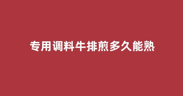 专用调料牛排煎多久能熟