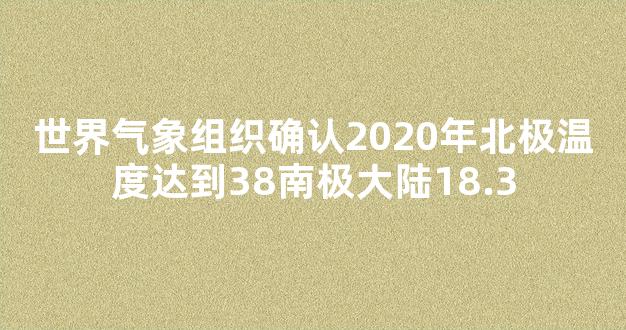 世界气象组织确认2020年北极温度达到38南极大陆18.3