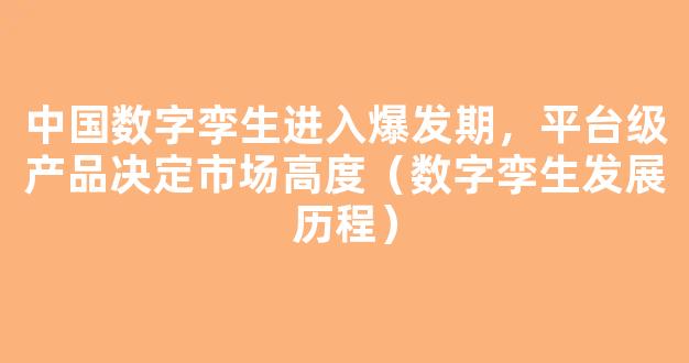 中国数字孪生进入爆发期，平台级产品决定市场高度（数字孪生发展历程）