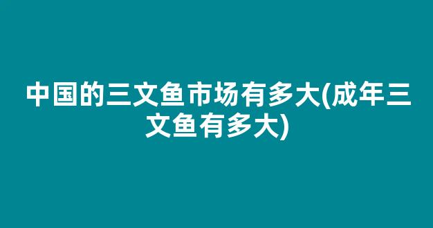 中国的三文鱼市场有多大(成年三文鱼有多大)