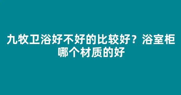 九牧卫浴好不好的比较好？浴室柜哪个材质的好