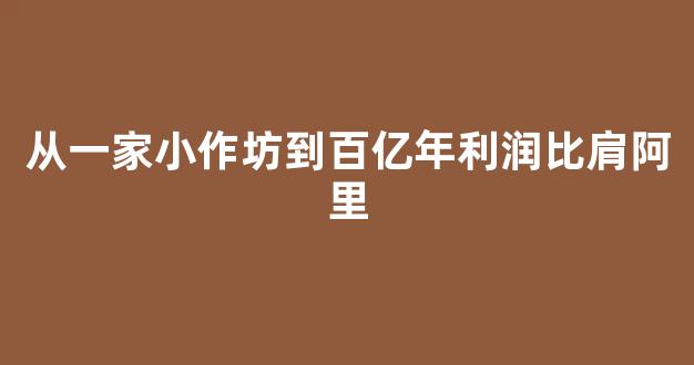 从一家小作坊到百亿年利润比肩阿里