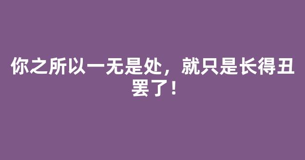 你之所以一无是处，就只是长得丑罢了！