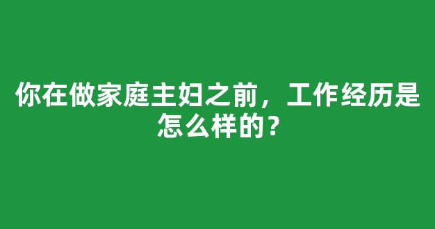 你在做家庭主妇之前，工作经历是怎么样的？