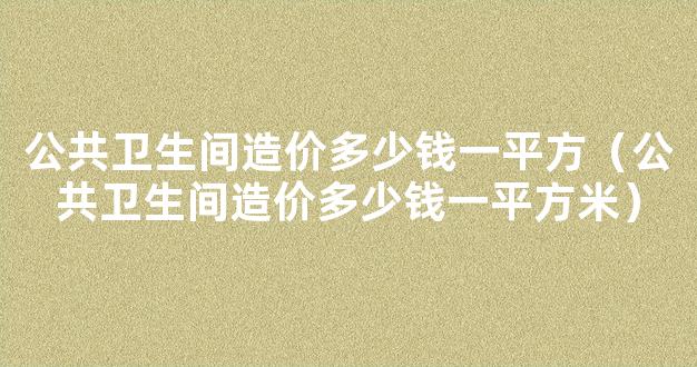 公共卫生间造价多少钱一平方（公共卫生间造价多少钱一平方米）