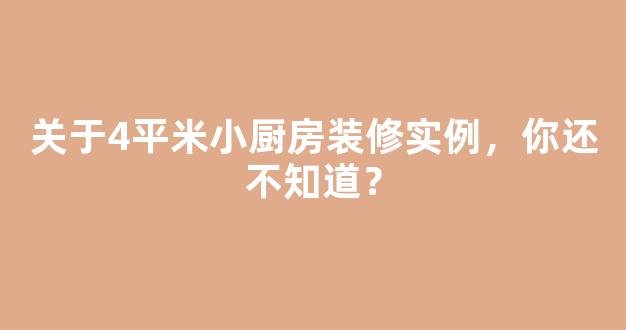 关于4平米小厨房装修实例，你还不知道？