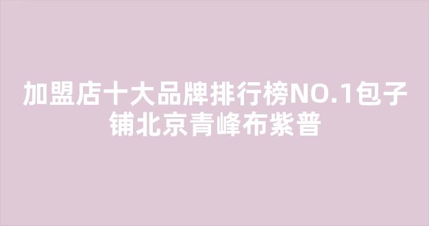 加盟店十大品牌排行榜NO.1包子铺北京青峰布紫普