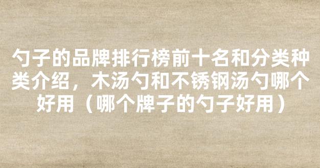 勺子的品牌排行榜前十名和分类种类介绍，木汤勺和不锈钢汤勺哪个好用（哪个牌子的勺子好用）