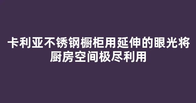 卡利亚不锈钢橱柜用延伸的眼光将厨房空间极尽利用