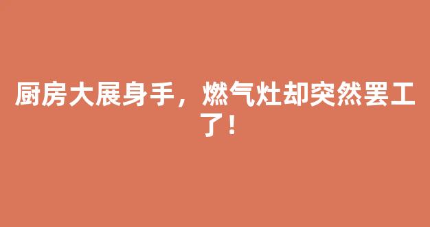 厨房大展身手，燃气灶却突然罢工了！