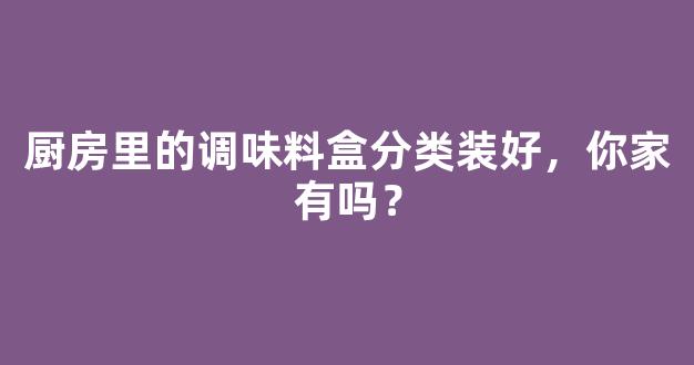 厨房里的调味料盒分类装好，你家有吗？