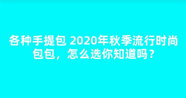 各种手提包 2020年秋季流行时尚包包，怎么选你知道吗？