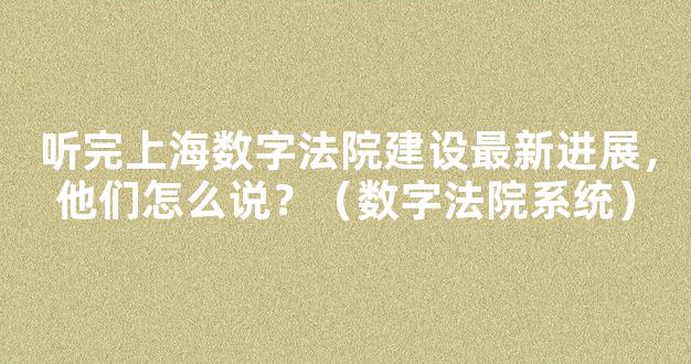 听完上海数字法院建设最新进展，他们怎么说？（数字法院系统）