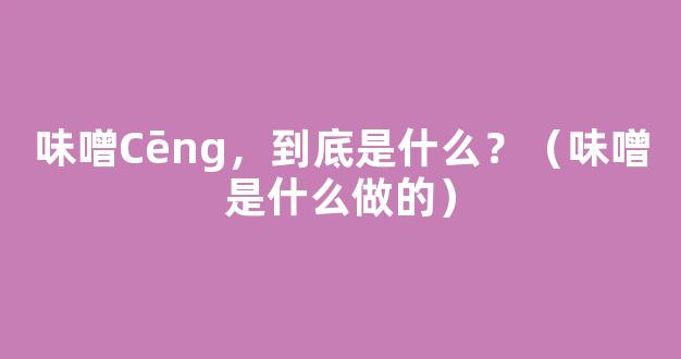 味噌Cēng，到底是什么？（味噌是什么做的）