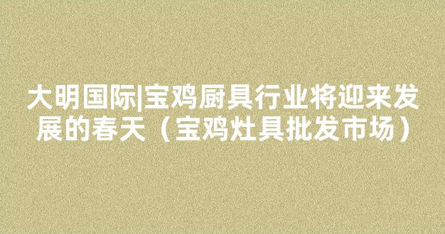 大明国际|宝鸡厨具行业将迎来发展的春天（宝鸡灶具批发市场）