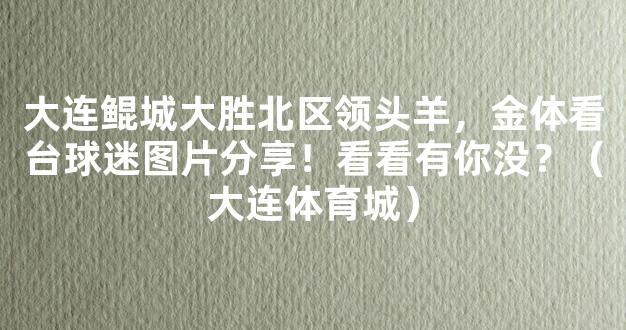 大连鲲城大胜北区领头羊，金体看台球迷图片分享！看看有你没？（大连体育城）