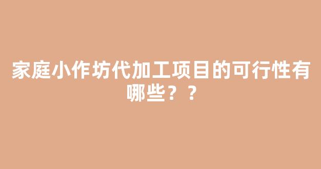 家庭小作坊代加工项目的可行性有哪些？？