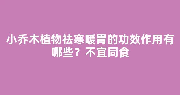 小乔木植物祛寒暖胃的功效作用有哪些？不宜同食