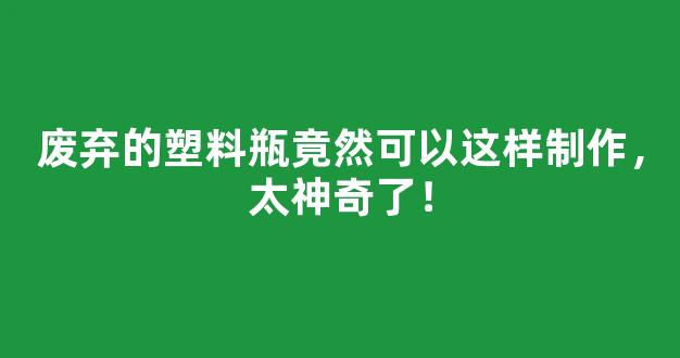 废弃的塑料瓶竟然可以这样制作，太神奇了！