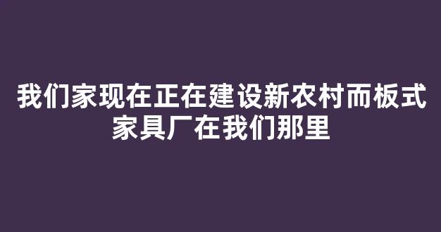 我们家现在正在建设新农村而板式家具厂在我们那里