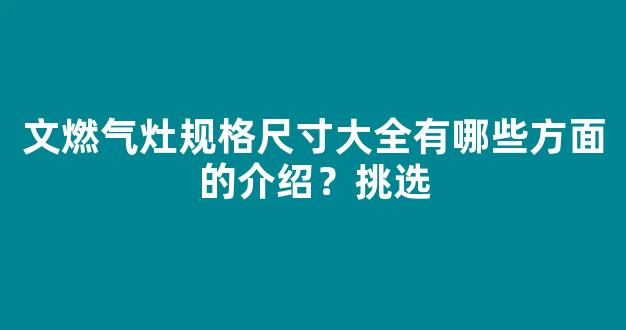 文燃气灶规格尺寸大全有哪些方面的介绍？挑选