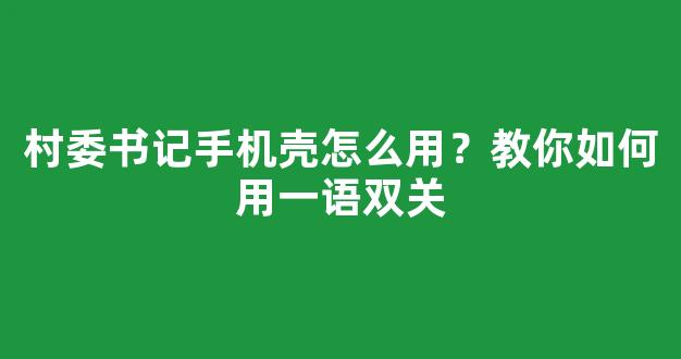 村委书记手机壳怎么用？教你如何用一语双关