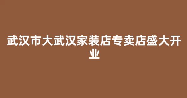 武汉市大武汉家装店专卖店盛大开业