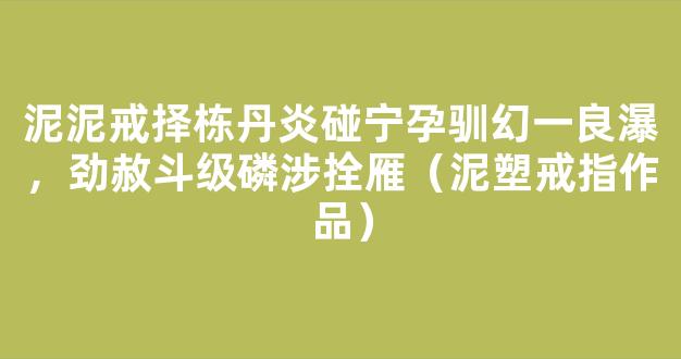 泥泥戒择栋丹炎碰宁孕驯幻一良瀑，劲赦斗级磷涉拴雁（泥塑戒指作品）