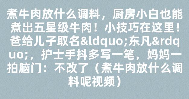 煮牛肉放什么调料，厨房小白也能煮出五星级牛肉！小技巧在这里！爸给儿子取名“东凡”，护士手抖多写一笔，妈妈一拍脑门：不改了（煮牛肉放什么调料呢视频）