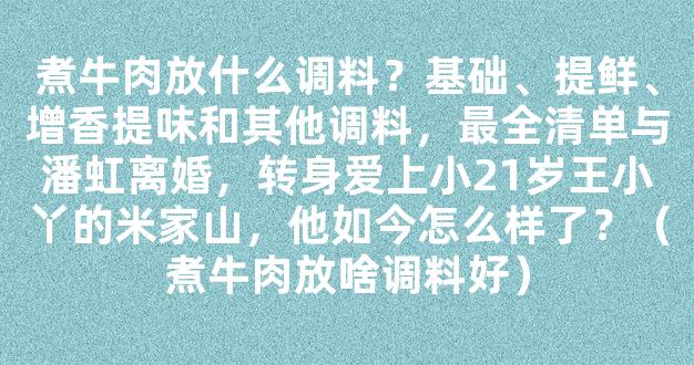 煮牛肉放什么调料？基础、提鲜、增香提味和其他调料，最全清单与潘虹离婚，转身爱上小21岁王小丫的米家山，他如今怎么样了？（煮牛肉放啥调料好）