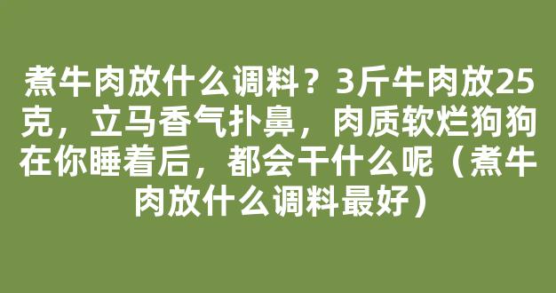 煮牛肉放什么调料？3斤牛肉放25克，立马香气扑鼻，肉质软烂狗狗在你睡着后，都会干什么呢（煮牛肉放什么调料最好）