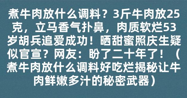 煮牛肉放什么调料？3斤牛肉放25克，立马香气扑鼻，肉质软烂53岁胡兵追爱成功！晒甜蜜照庆生疑似官宣？网友：盼了二十年了！（煮牛肉放什么调料好吃烂揭秘让牛肉鲜嫩多汁的秘密武器）