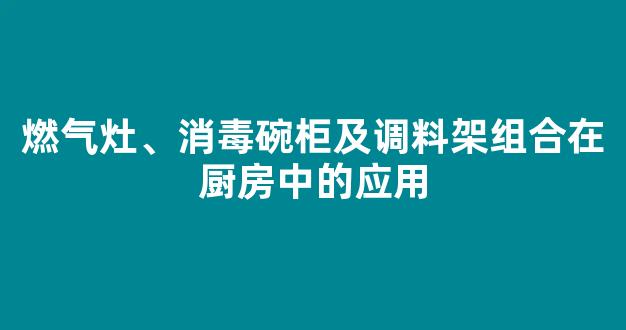 燃气灶、消毒碗柜及调料架组合在厨房中的应用