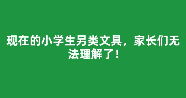 现在的小学生另类文具，家长们无法理解了！