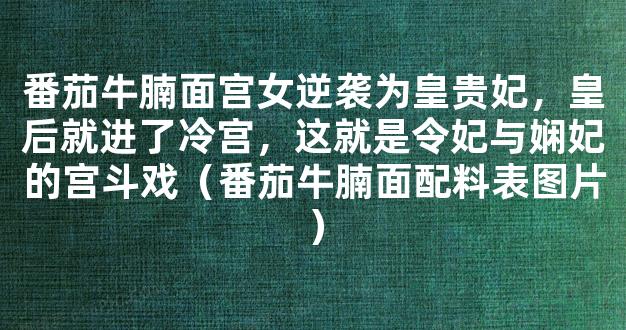 番茄牛腩面宫女逆袭为皇贵妃，皇后就进了冷宫，这就是令妃与娴妃的宫斗戏（番茄牛腩面配料表图片）