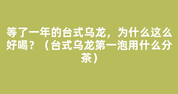 等了一年的台式乌龙，为什么这么好喝？（台式乌龙第一泡用什么分茶）