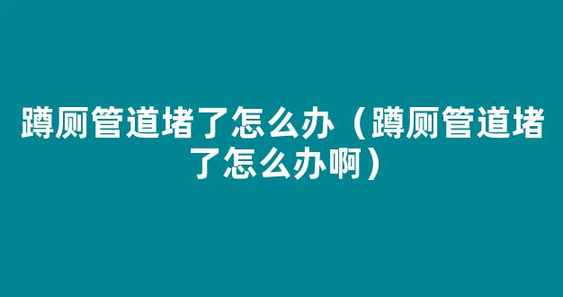 蹲厕管道堵了怎么办（蹲厕管道堵了怎么办啊）