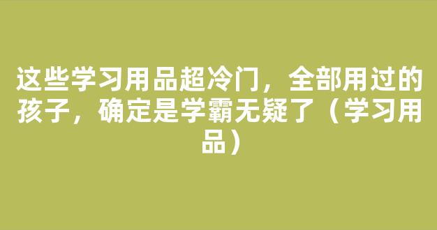 这些学习用品超冷门，全部用过的孩子，确定是学霸无疑了（学习用品）