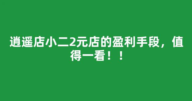 逍遥店小二2元店的盈利手段，值得一看！！