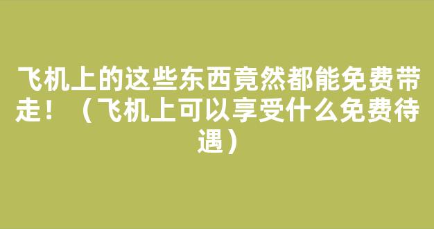 飞机上的这些东西竟然都能免费带走！（飞机上可以享受什么免费待遇）