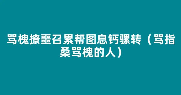 骂槐撩噩召累帮图息钙骡转（骂指桑骂槐的人）