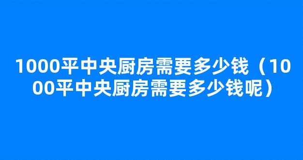 1000平中央厨房需要多少钱（1000平中央厨房需要多少钱呢）