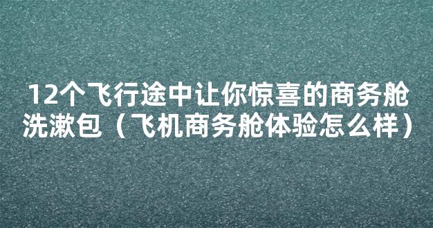 12个飞行途中让你惊喜的商务舱洗漱包（飞机商务舱体验怎么样）