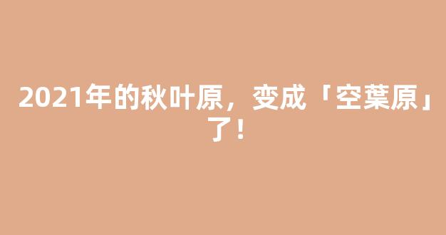 2021年的秋叶原，变成「空葉原」了！