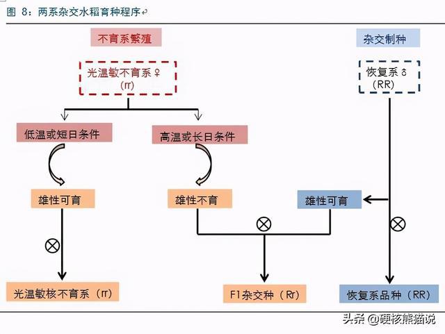 老d最新host