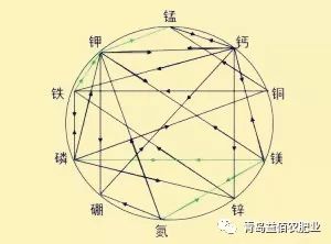 磷会影响铁的吸收吗,磷会影响铁的吸收吗？快捷问题解决方案,数据驱动分析解析_胶版97.83.84